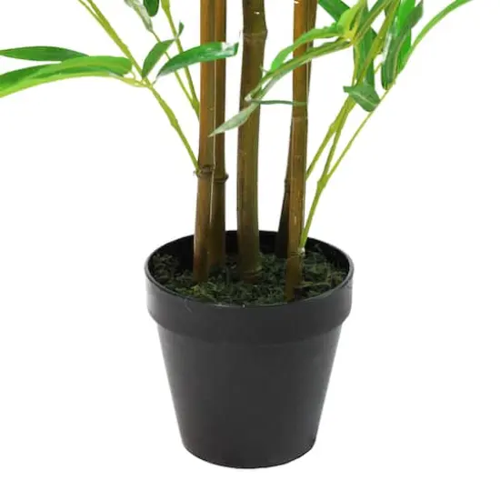 4ft. Two-Tone Green Potted Bamboo Plant {4}