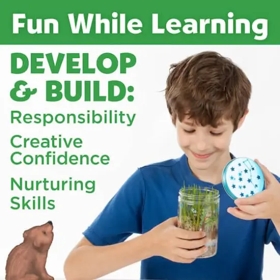 Creativity for Kids&reg; Grow N' Glow Terrarium {7}