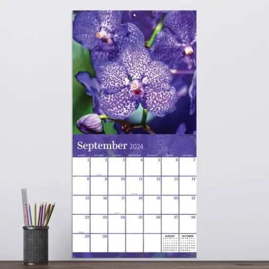 TF Publishing 2024 Flowers Wall Calendar {5}