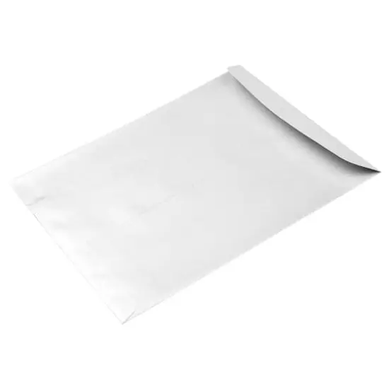 JAM Paper 10" x 13" Silver Stardream Metallic Gum Closure Envelopes, 10ct. {4}