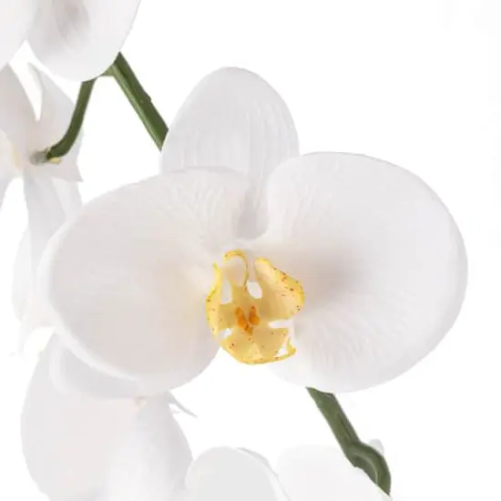 White Orchid Stem by Ashland&reg; {4}