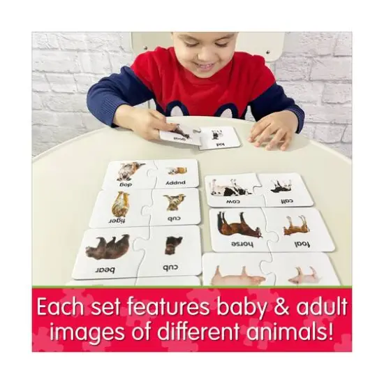 Match It! - Animal Families {9}