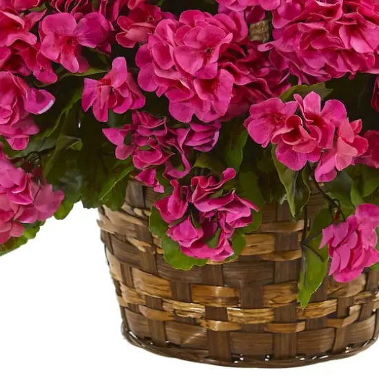 19'' Geranium Hanging Basket {4}