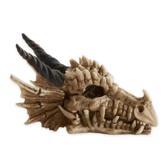 12" Snarling Dragon Skull Treasure Trove Box {3}