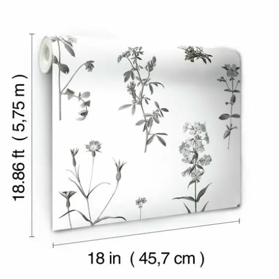 RoomMates Botanical Print Peel & Stick Wallpaper White and Black {7}