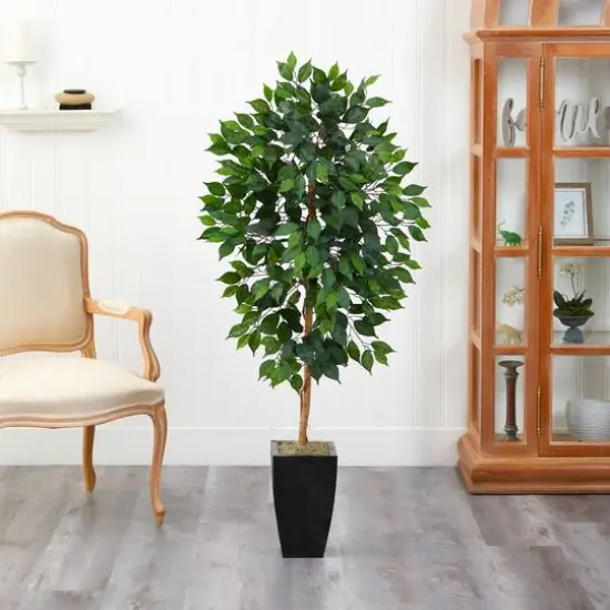 4.5ft. Ficus Tree in Black Metal Planter {4}