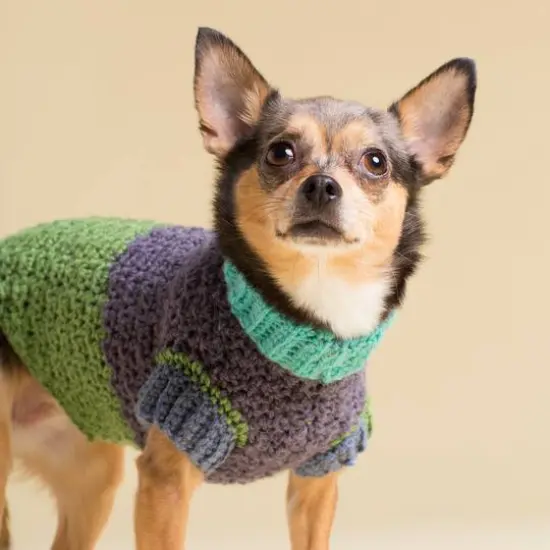 Caron&reg; Chunky Cakes&trade; Yarn Ballet Sorbet {6}