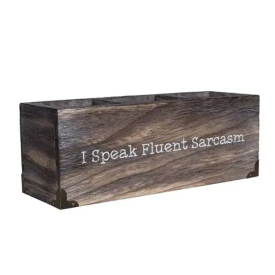 I Speak Fluent Sarcasm Desk Organizer {1}