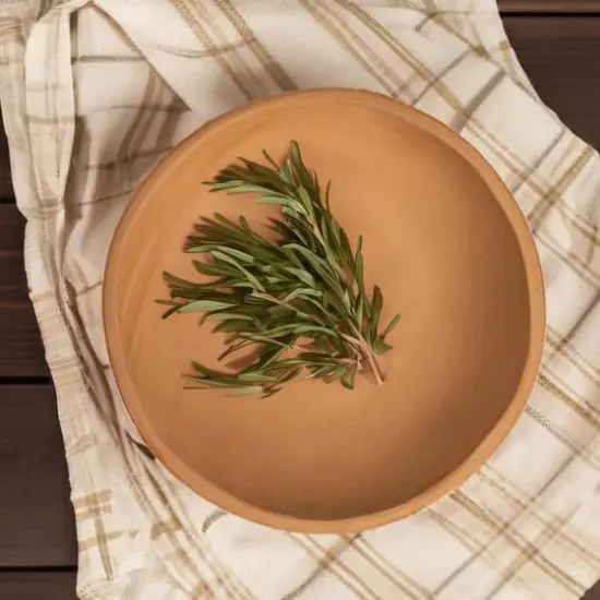 Hello Honey&reg; 10" Orange Terracotta Bowl {4}