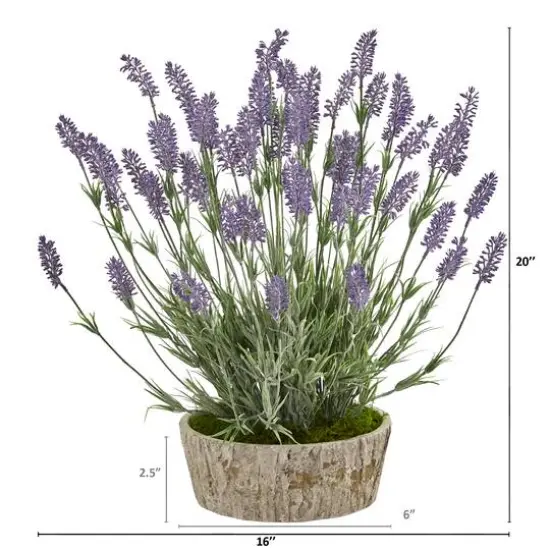 20in. Lavender Plant in Weathered Oak Planter {3}