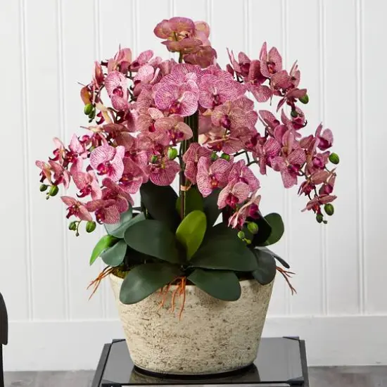 3ft. Moth Orchid Arrangement in White Vase {4}