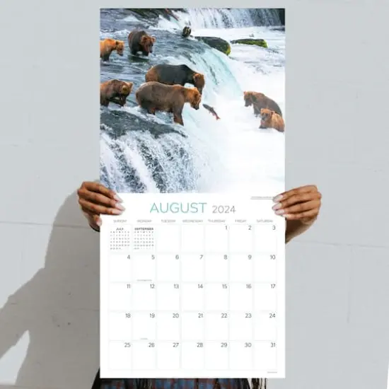 TF Publishing 2024 Wild Wall Calendar {6}