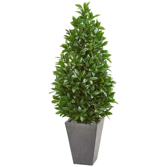 4.7ft. UV Resistant Bay Leaf Cone Topiary Tree in Slate Planter {1}