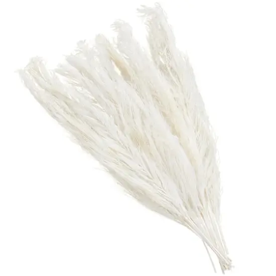 35" Natural Dried Palm Leaf Bundle with Feather-Inspired Stems White {4}