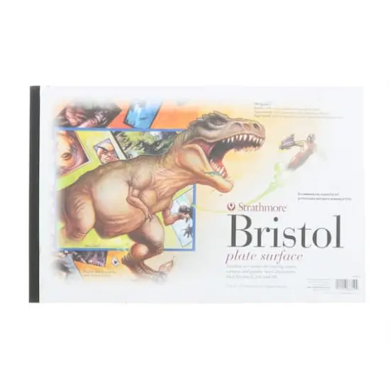 Strathmore&reg; 500 Series Sequential Art Bristol Plate Paper Pad, 11" x 17" {1}