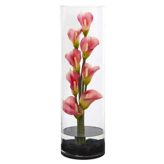 20" Calla Lily Arrangement in Cylinder Glass Vase Pink {1}