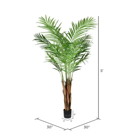 5ft. Potted Giant Areca Palm Tree {4}