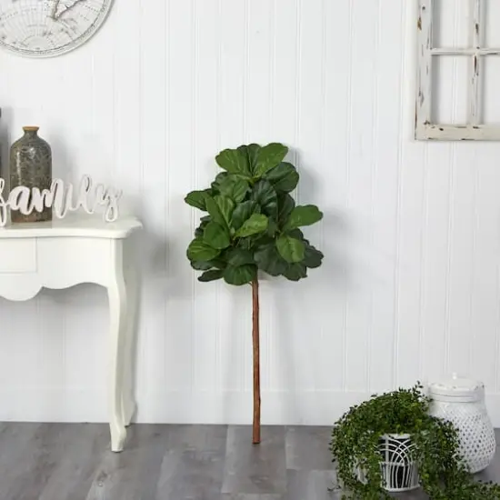 3.5ft. Fiddle Leaf Fig Tree {4}