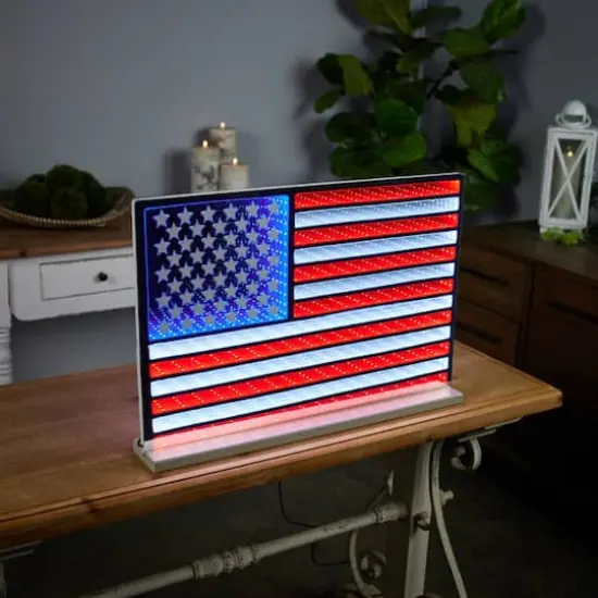 26" American Flag Ekko Light Display {4}