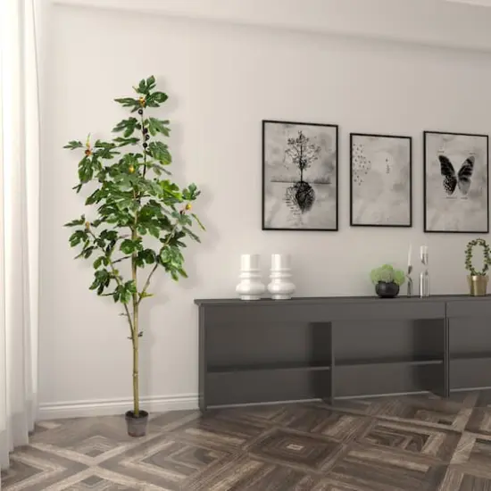 7ft. Potted Fig Tree {5}