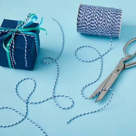 100yd. Twine by Celebrate It&trade; Navy {3}