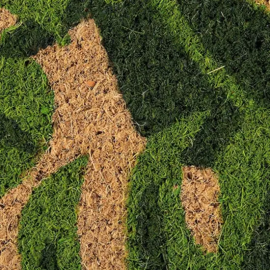 DII&reg; J&M Palm Leaves Vinyl Back Coir Doormat {3}