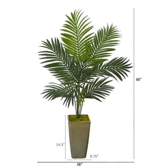 4.2ft. Kentia Palm Tree in Green Planter {3}