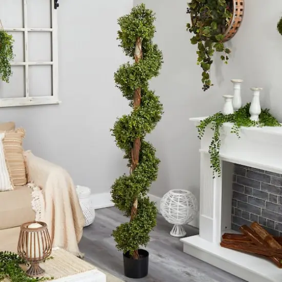 6ft. Potted Spiral Boxwood Topiary Tree {4}