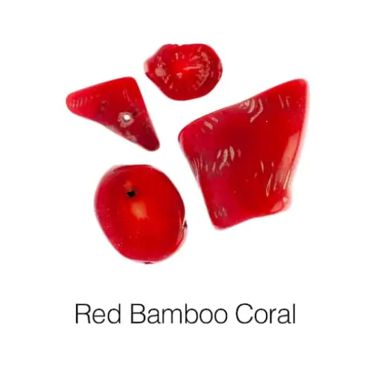 John Bead Earth's Jewels Natural Stone Bead Assortment, 100g Dyed Red Bamboo Coral {4}