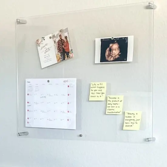 Wexel Art Single Panel Clear Acrylic Floating Wall Frame & Magnets with Silver Hardware {12}