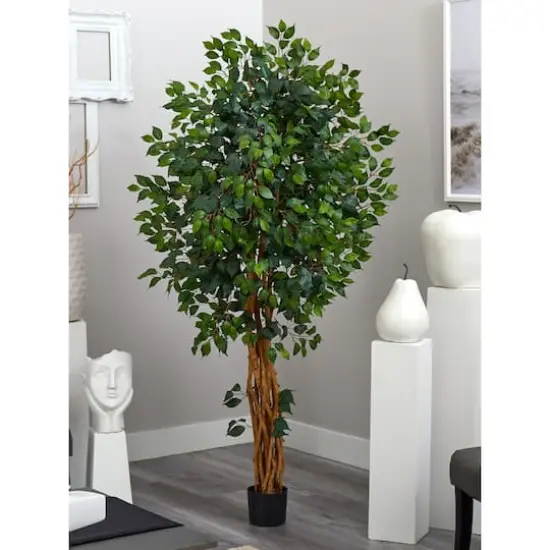 6ft. Potted Palace Style Ficus Tree {6}