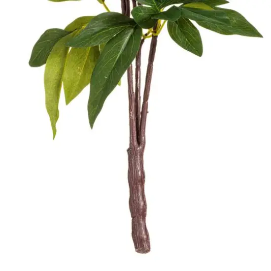 Cream & Pink Peony Bush {6}