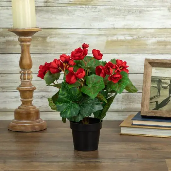 11" Red Potted Silk Begonia Floral Arrangement {3}