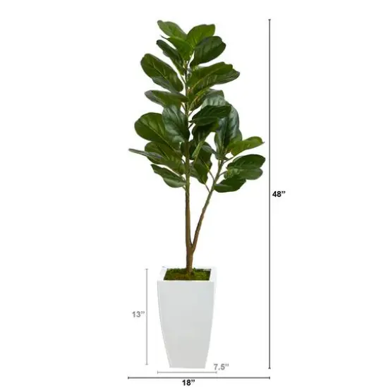 4ft. Fiddle Leaf Fig Tree in White Metal Planter {4}