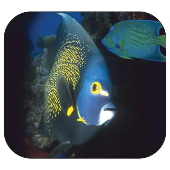 Schylling View-Master&reg; Discovery Kids&trade; Boxed Set {6}