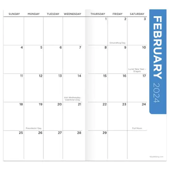 TF Publishing 2024-2025 Vivid Dots Small Monthly Pocket Planner {4}