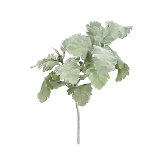 Dusty Miller Spray  {1}