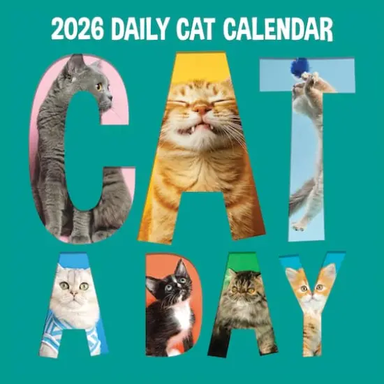 2026 Cat-A-Day Wall Calendar {1}