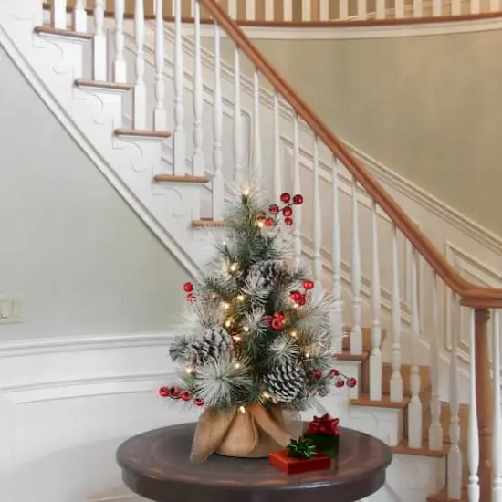 2ft. Pre-Lit Snowy Glacier Pine Artificial Christmas Tree, Warm White LED Lights {3}