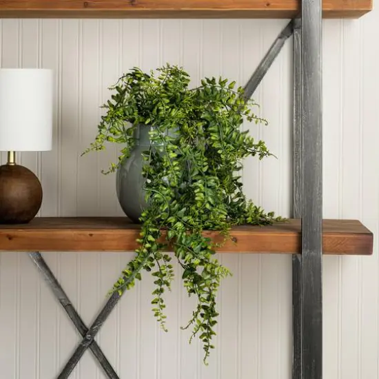 2.5ft. Green Buckler Fern Vine {3}