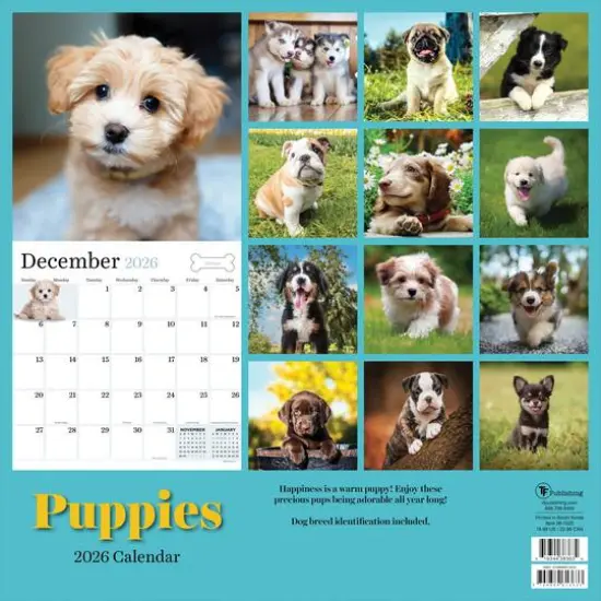 2026 Puppies Wall Calendar {6}