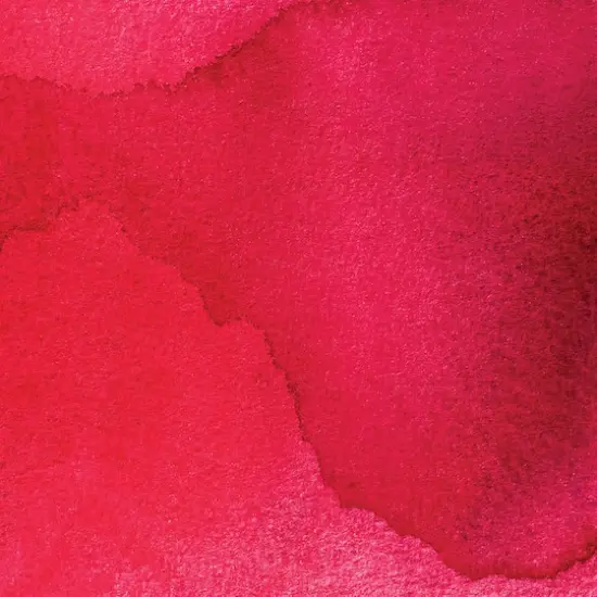 Speedball&reg; 1oz. India Ink Ruby {4}