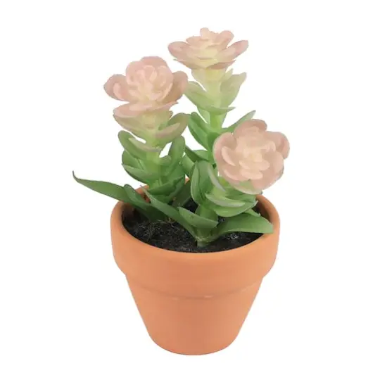 Mini Premade Succulents in Terra Cotta Pots, 6ct. by Ashland&reg; Light Green {3}