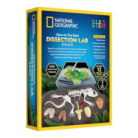 National Geographic&trade; Glow-in-the-Dark Gecko Dissection Lab {6}