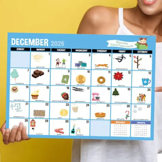 July 2025 - June 2026 Medium Every Day's A Holiday Desk Pad Monthly Blotter Calendar {6}