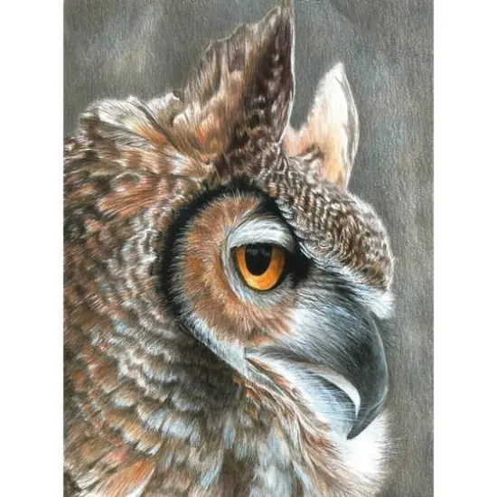 Royal & Langnickel® Sepia Owl Colour Pencil™ by Numbers Kit {3}