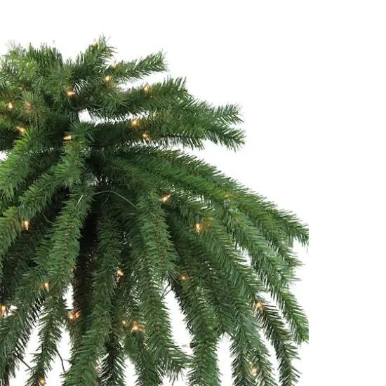 6ft. Pre-Lit Tropical Outdoor Palm Tree {3}