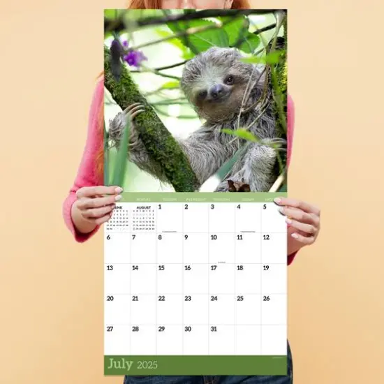 TF Publishing 2025 Sloths Wall Calendar {6}