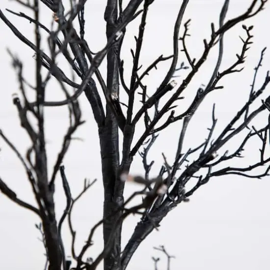 4ft. Orange & Purple LED Pre-Lit Halloween Deluxe Black Twig Artificial Fall Tree {5}