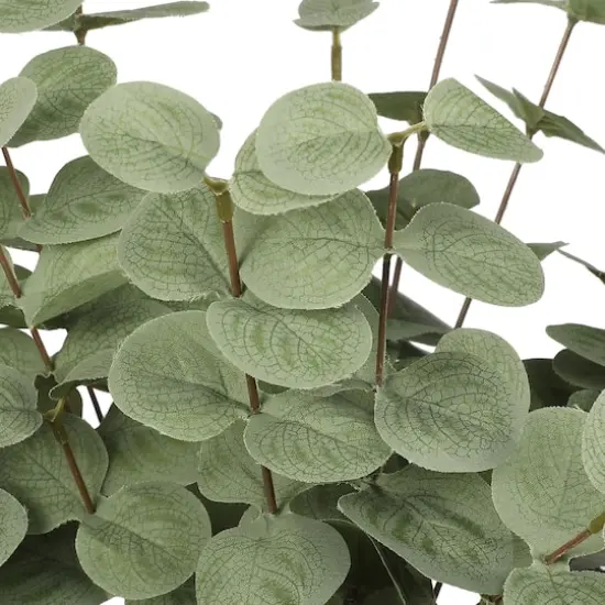 18" Eucalyptus Bush by Ashland&reg; {3}